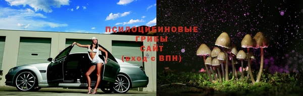 дживик Михайлов