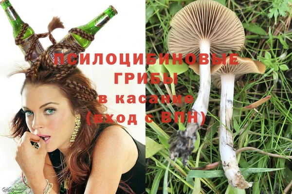 PSILOCYBIN Верея