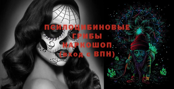 дживик Михайлов