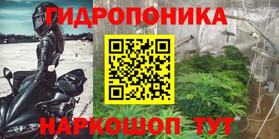 шишки Волжский