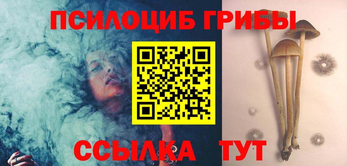 Псилоцибиновые грибы Psilocybe Новоуральск