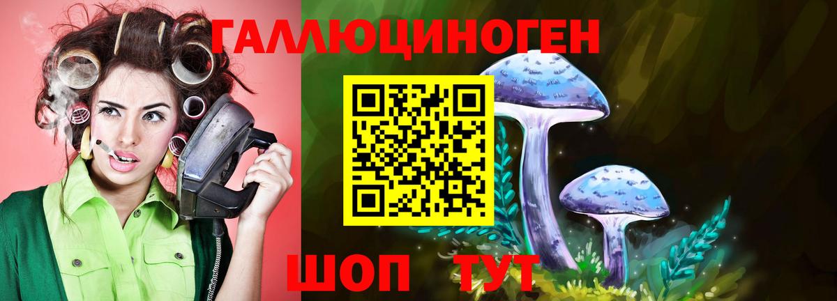 Псилоцибиновые грибы Psilocybine cubensis  Псилоцибиновые грибы мицелий  Новоуральск  Вход с VPN 